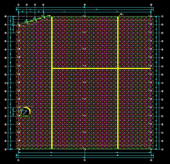 滨州东营金岭化工大王煤棚网架